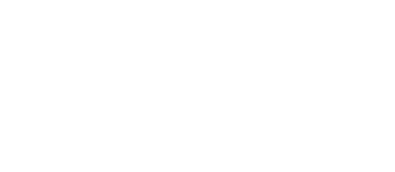 Footer Logo SEEDJ